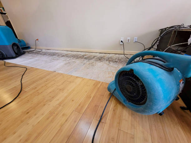 Professional Sewage Cleanup technician working in Hopkins, MI